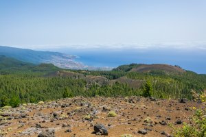 Panorama sur la forêt et la mer depuis un sommet des Canaries
